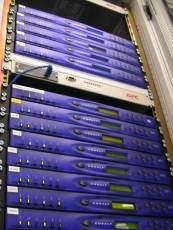 network support fife